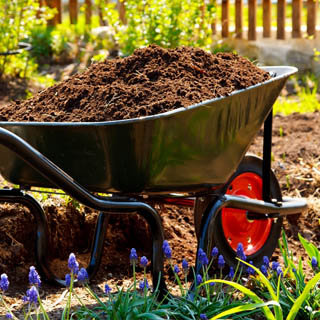 Plantation et entretien de jardin 63