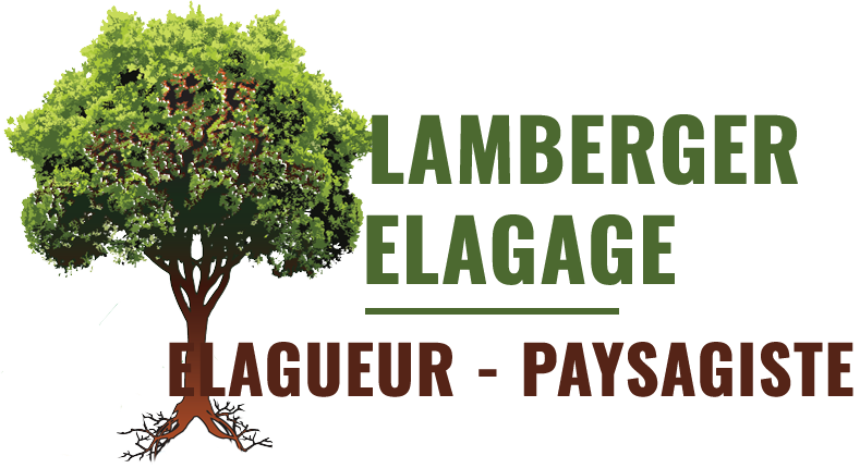 elagage-lamberger-giovanni-63-elagage